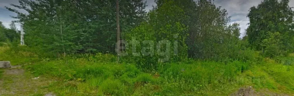 Участок в Вологодская область, Вологда Разлив садоводческое ... - Фото 2