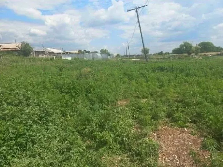 Участок в Тюменская область, Казанский муниципальный округ, д. Заречка ... - Фото 2