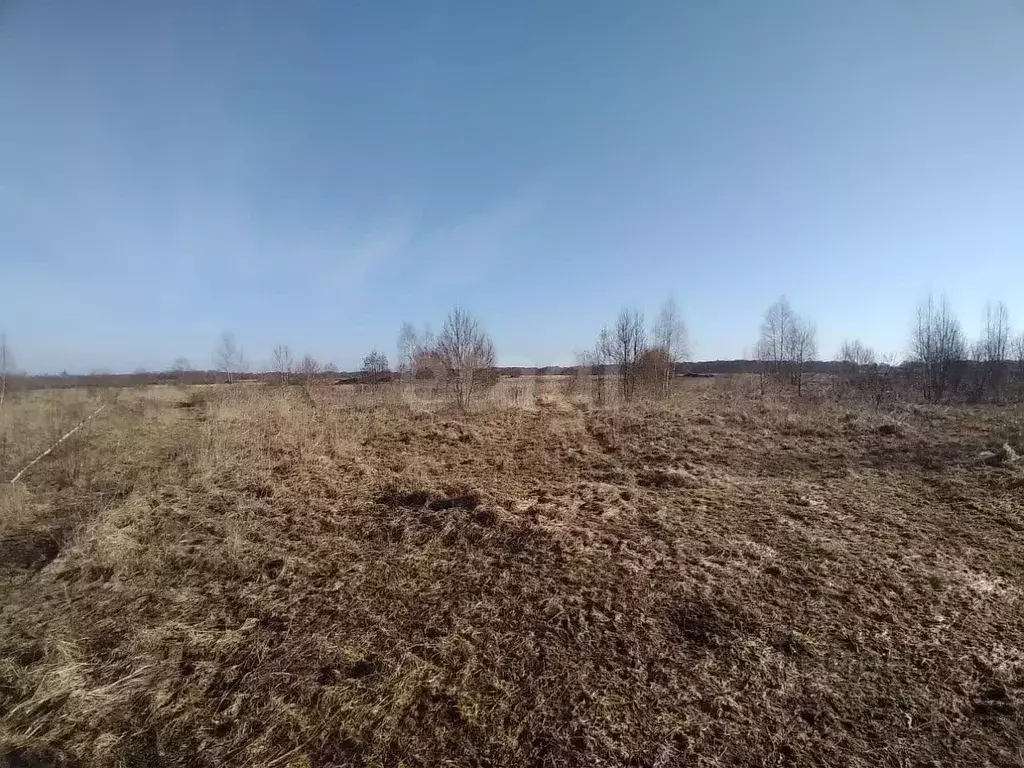 Участок в Псковская область, Печорский муниципальный округ, д. Усадище ... - Фото 1