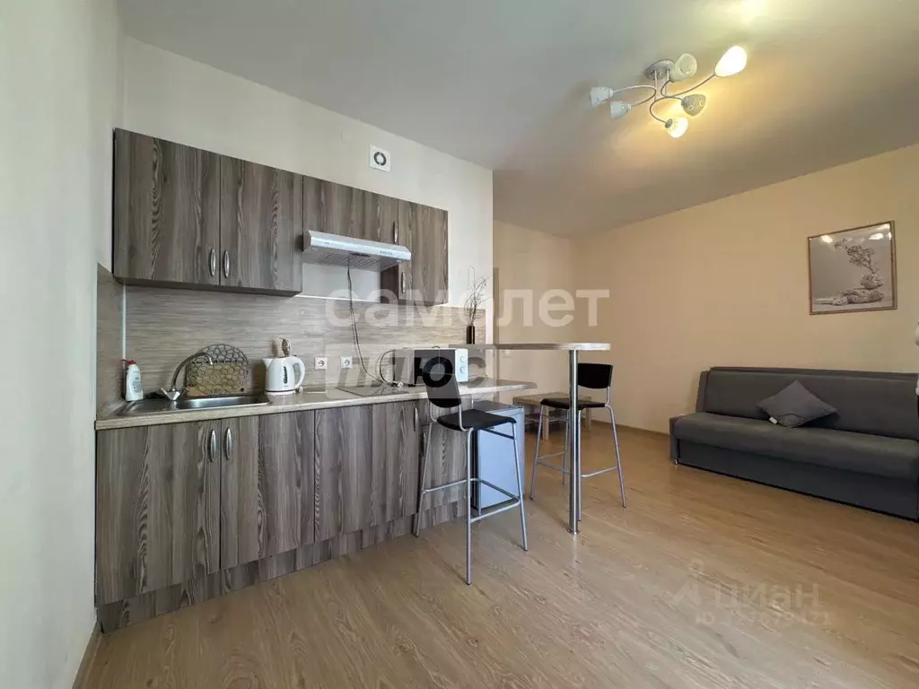 Студия Санкт-Петербург аллея Арцеуловская, 23к1 (25.5 м) - Фото 2