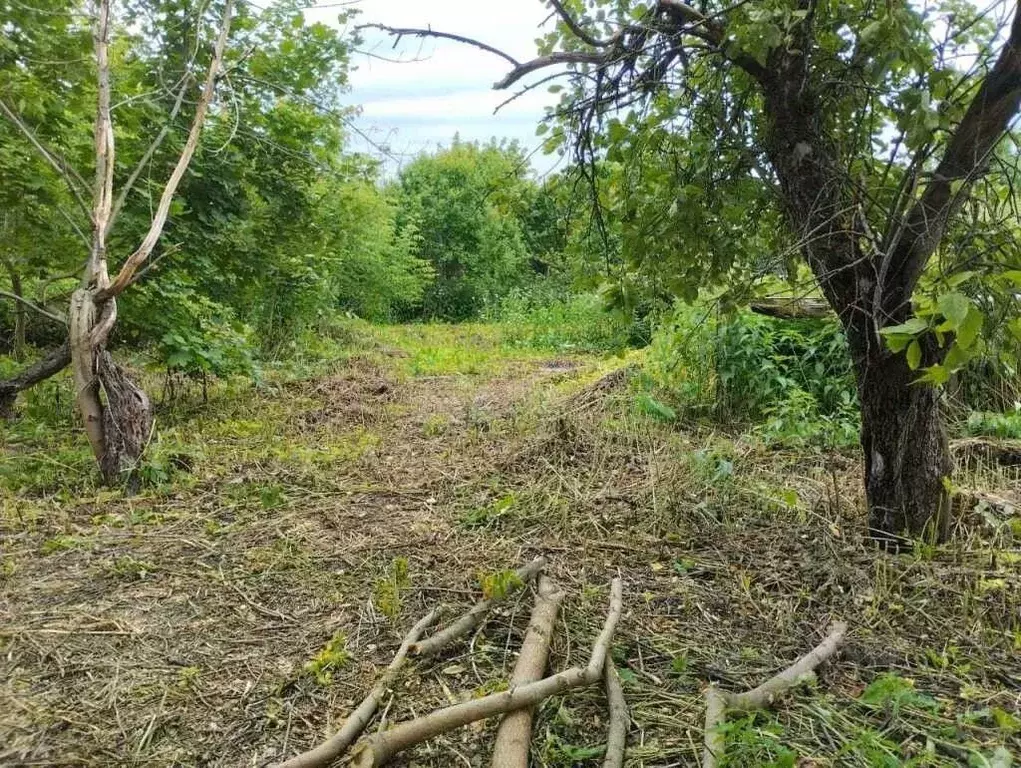 Дом в Тульская область, Щекинский район, Крапивенское с/пос, с. ... - Фото 2