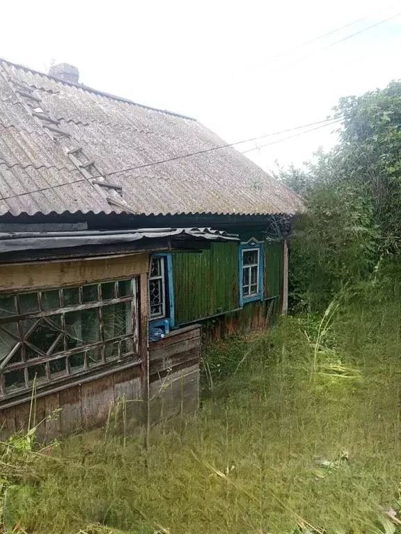 Дом в Кемеровская область, Осинники Балластная ул., 12 (39 м) - Фото 2