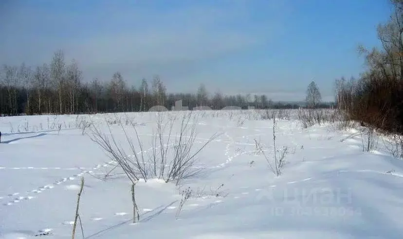 Участок в Брянская область, Брянский район, с. Глинищево ул. Северная, ... - Фото 0