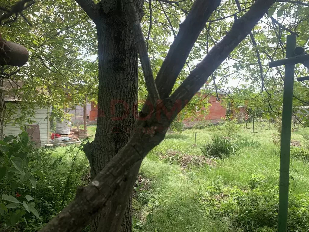 Участок в Ростовская область, Новочеркасск ул. Изобильная, 66 (6.0 ... - Фото 2