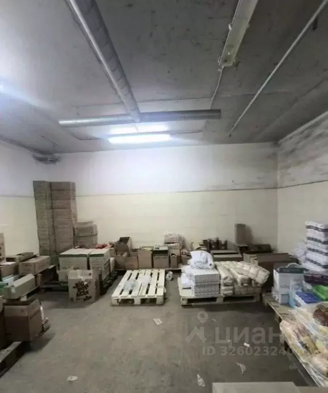 Помещение свободного назначения в Санкт-Петербург просп. Маршала ... - Фото 2