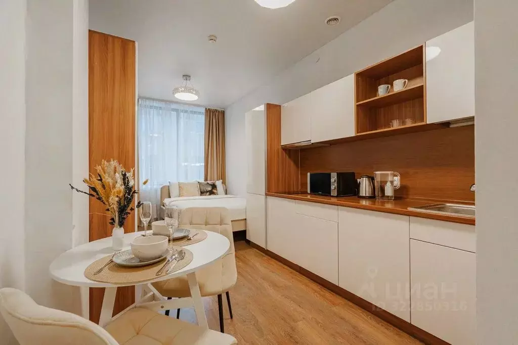 Студия Свердловская область, Екатеринбург ул. Малышева, 42А (21.0 м) - Фото 2