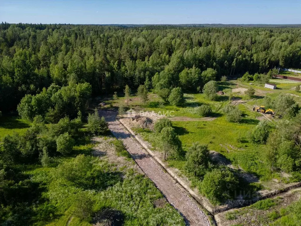 Участок в Ленинградская область, Всеволожский район, Лесколовское ... - Фото 1