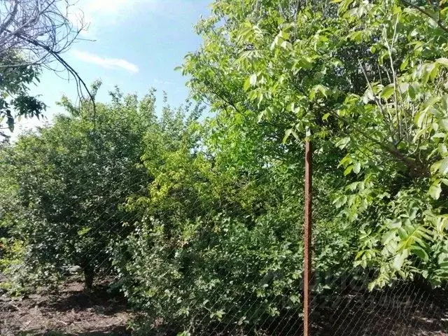 Участок в Астраханская область, Астрахань Электрик СНТ,  (5.65 сот.) - Фото 2