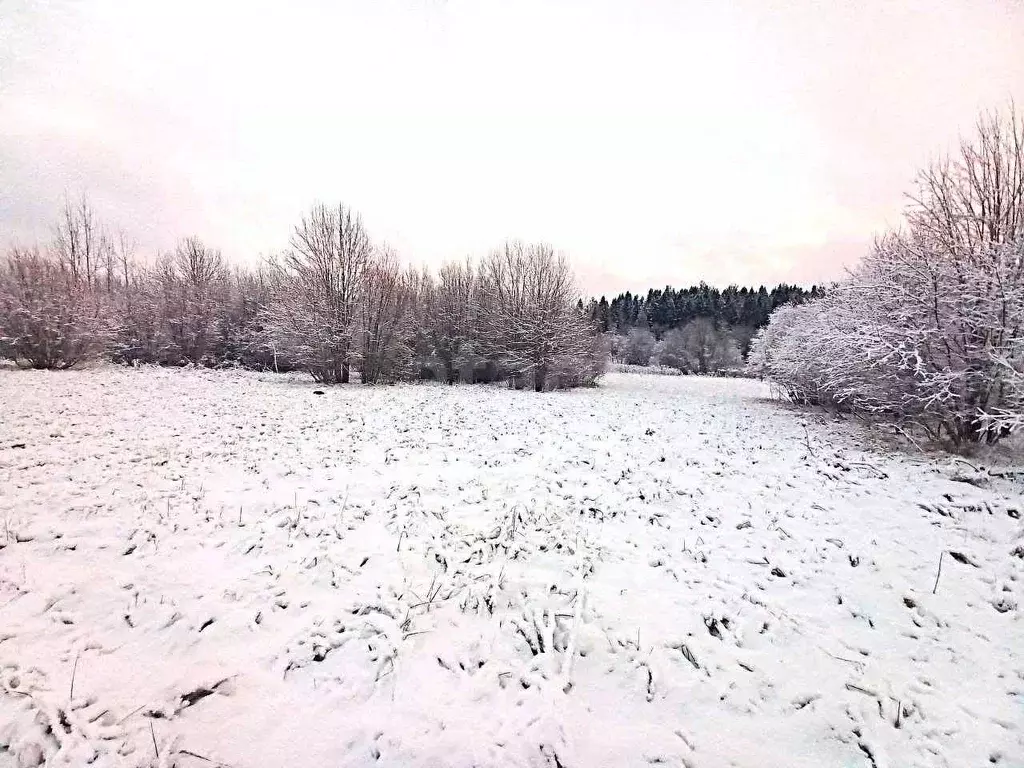 Участок в Кировская область, Слободской район, д. Стулово ул. ... - Фото 2