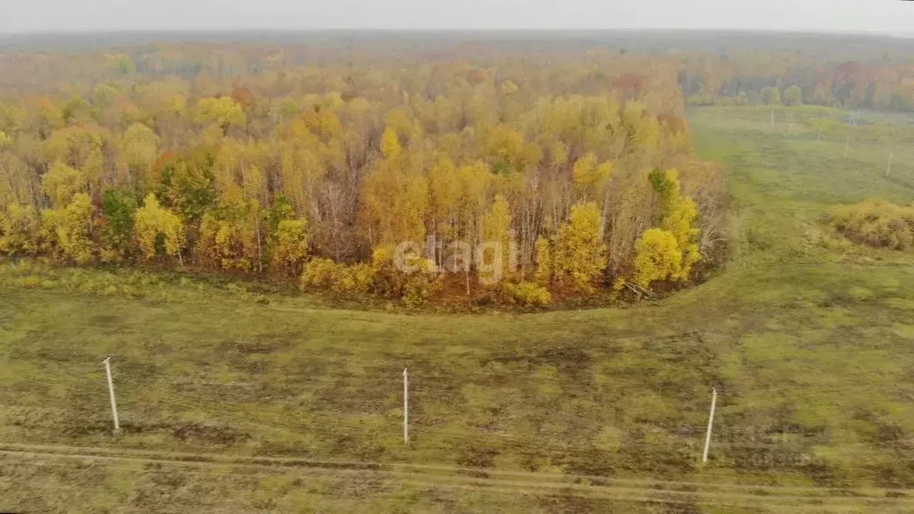 Участок в Тюменская область, Тюменский район, с. Горьковка  (8.0 сот.) - Фото 0