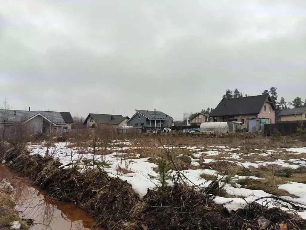 Участок в Ленинградская область, Сертолово Всеволожский район, ... - Фото 0