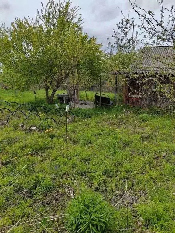 Участок в Брянская область, Брянский район, Нетьинское с/пос, д. ... - Фото 2