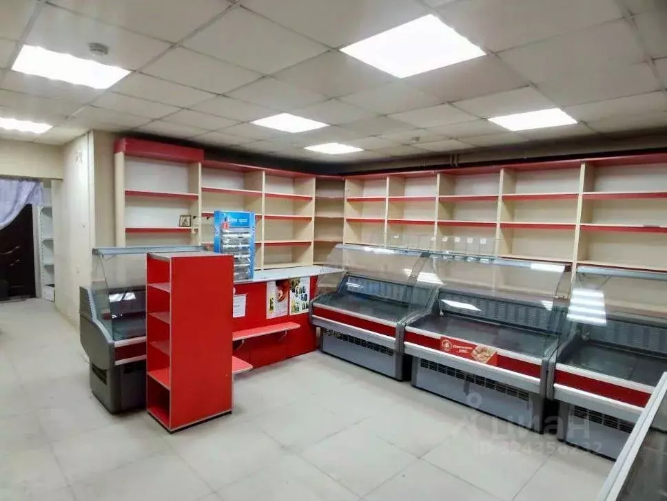 Торговая площадь в Хакасия, Абакан просп. Дружбы Народов, 40 (65 м) - Фото 1