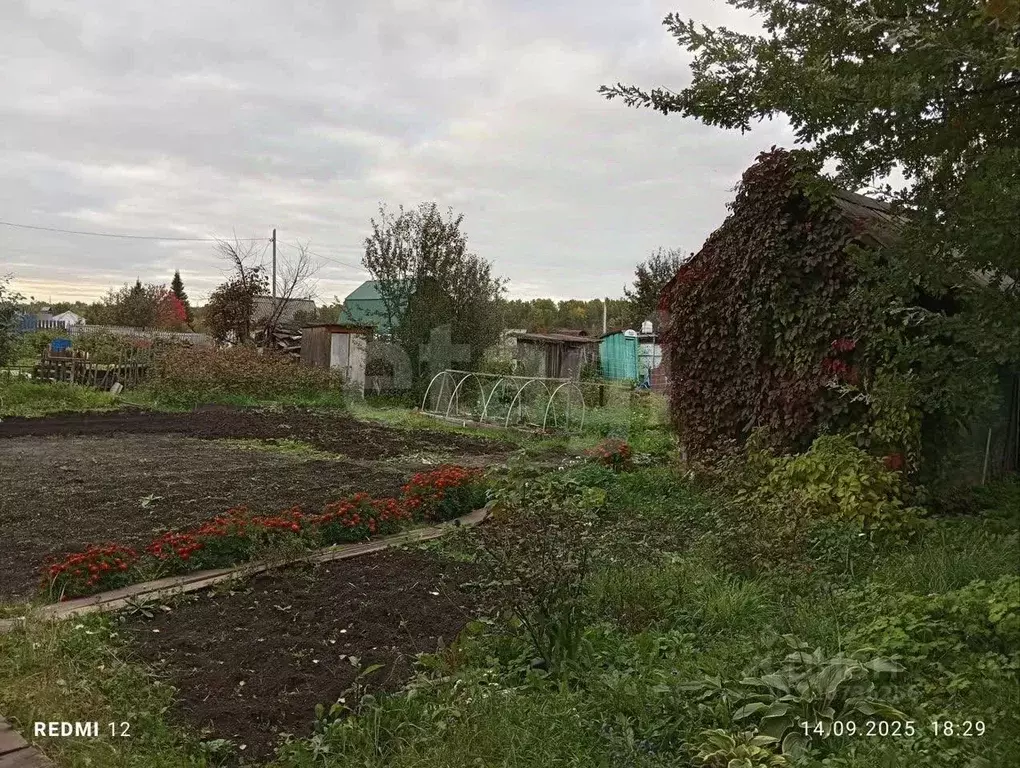 Участок в Томская область, Томск Ромашка СНТ, ул. 9-я (4.5 сот.) - Фото 2