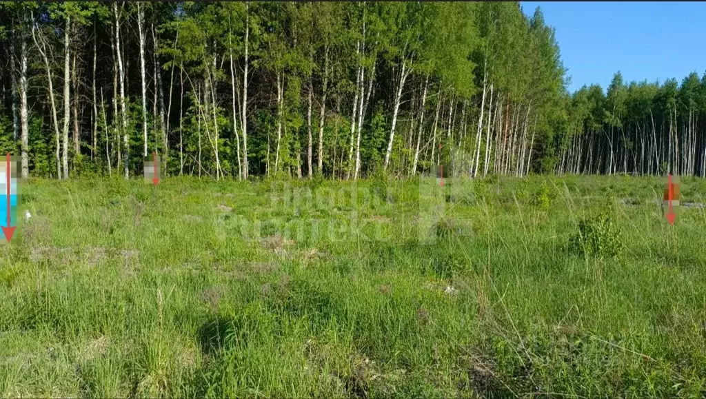 Участок в Нижегородская область, Городецкий муниципальный округ, д. ... - Фото 0