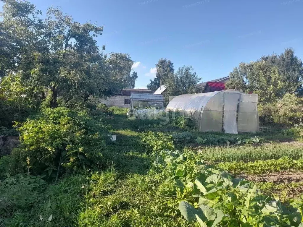 Участок в Владимирская область, Муром с. Чаадаево, ул. Новая (12.0 ... - Фото 1