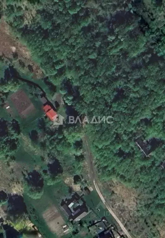 Участок в Калужская область, Жиздринский муниципальный округ, Студенец ... - Фото 1