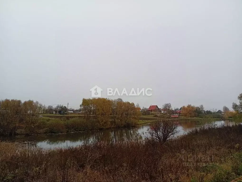 Участок в Владимирская область, Суздальский район, Селецкое ... - Фото 2