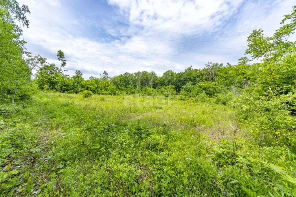 Купить Участок В Осиновой Речке Хаб Района