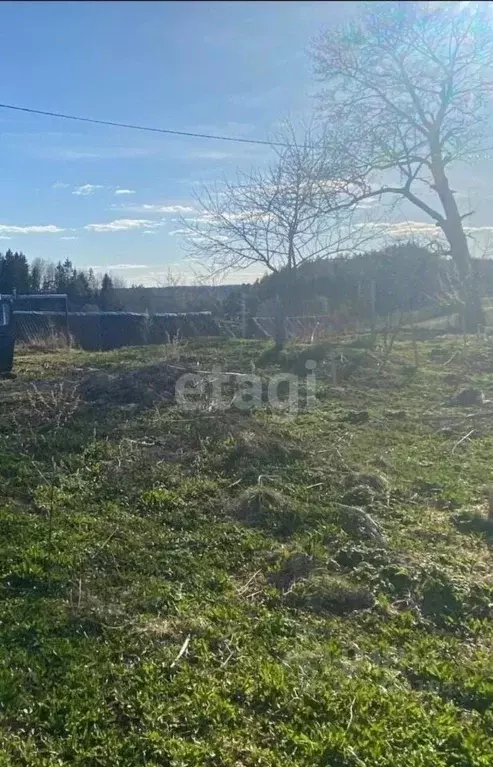 Дом в Псковская область, Палкинская волость, д. Бенево  (15 м) - Фото 2