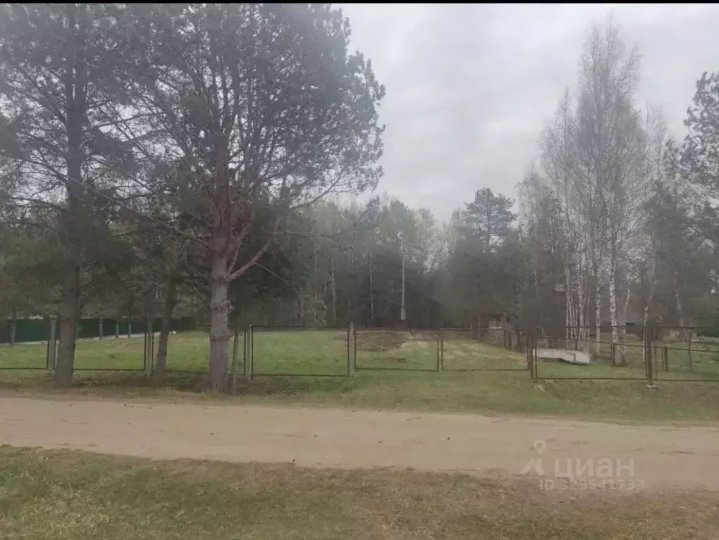 Участок в Новгородская область, Новгородский муниципальный район, ... - Фото 1