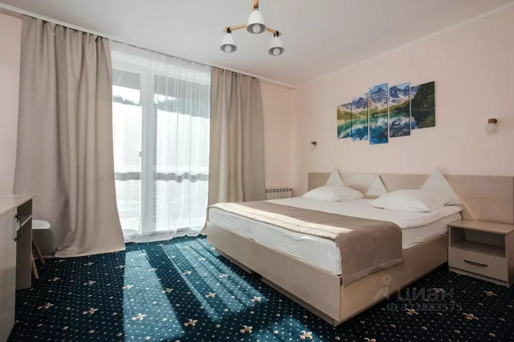 Комната Алтай, Чемальский район, с. Чемал Уожанская ул., 58 (18.0 м) - Фото 1