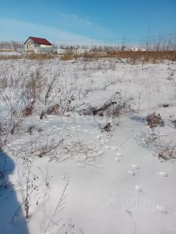 Участок в Белгородская область, Бирюч Красногвардейский район, ул. 8 ... - Фото 1