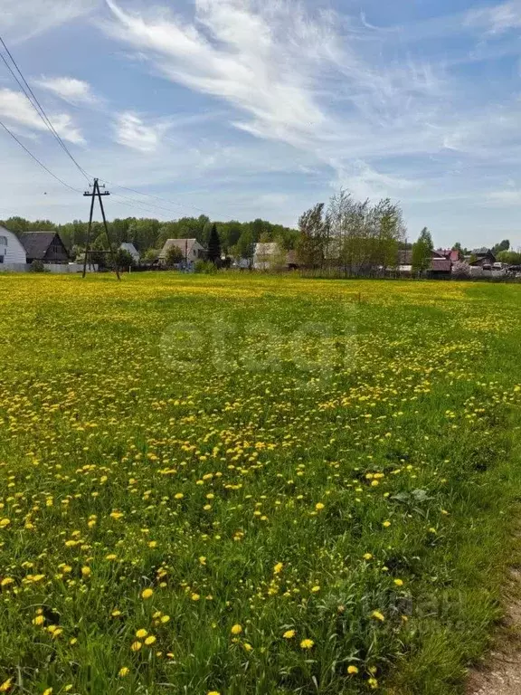 Участок в Кемеровская область, Кемеровский муниципальный округ, с. ... - Фото 1