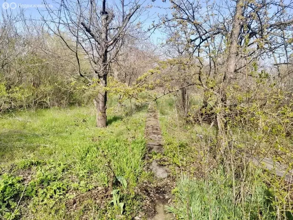 Участок в Новочеркасск, садовое товарищество № 16, Лесная улица (6.1 ... - Фото 2
