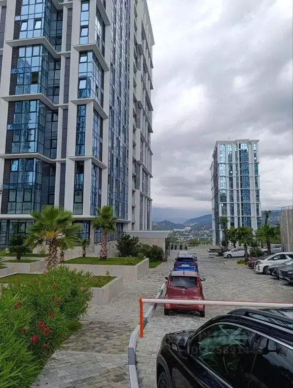 Студия Краснодарский край, Сочи Бытха мкр, ул. Ясногорская, 16/8к1 ... - Фото 1