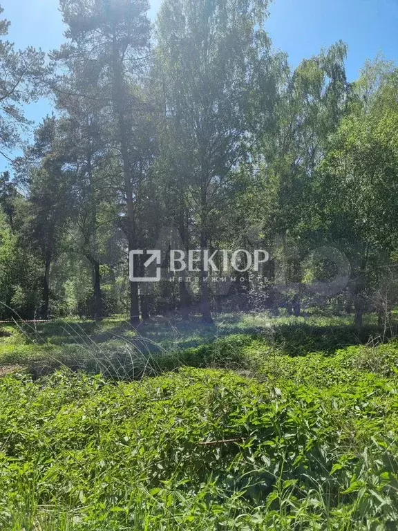Участок 7,6 сот. (СНТ, ДНП) - Фото 1