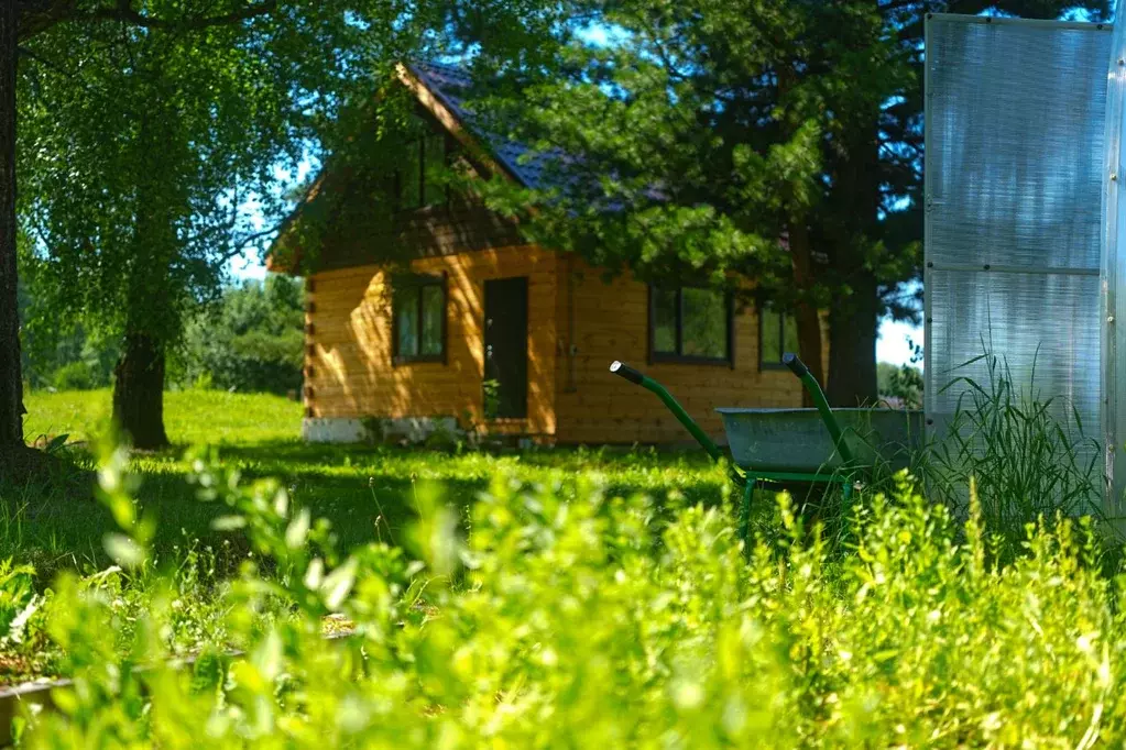 Дом в Алтай, Усть-Коксинский район, с. Мульта Центральная ул., 117А ... - Фото 0
