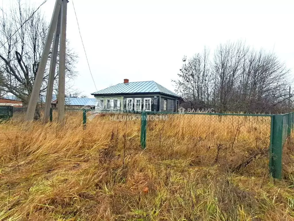 Дом в Рязанская область, Касимовский муниципальный округ, село Малеево ... - Фото 1