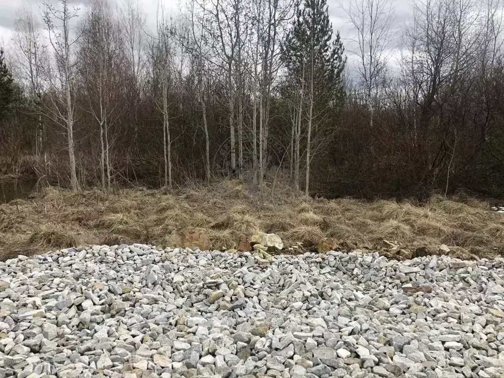 Участок в Свердловская область, Верхняя Пышма городской округ, пос. ... - Фото 2