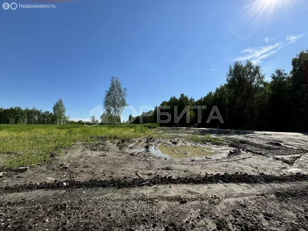 Участок в Тюменский район, СПК Приозёрное (6.58 м) - Фото 0