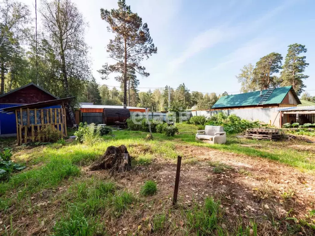 Участок в Новосибирская область, Новосибирский район, Кубовинский ... - Фото 1