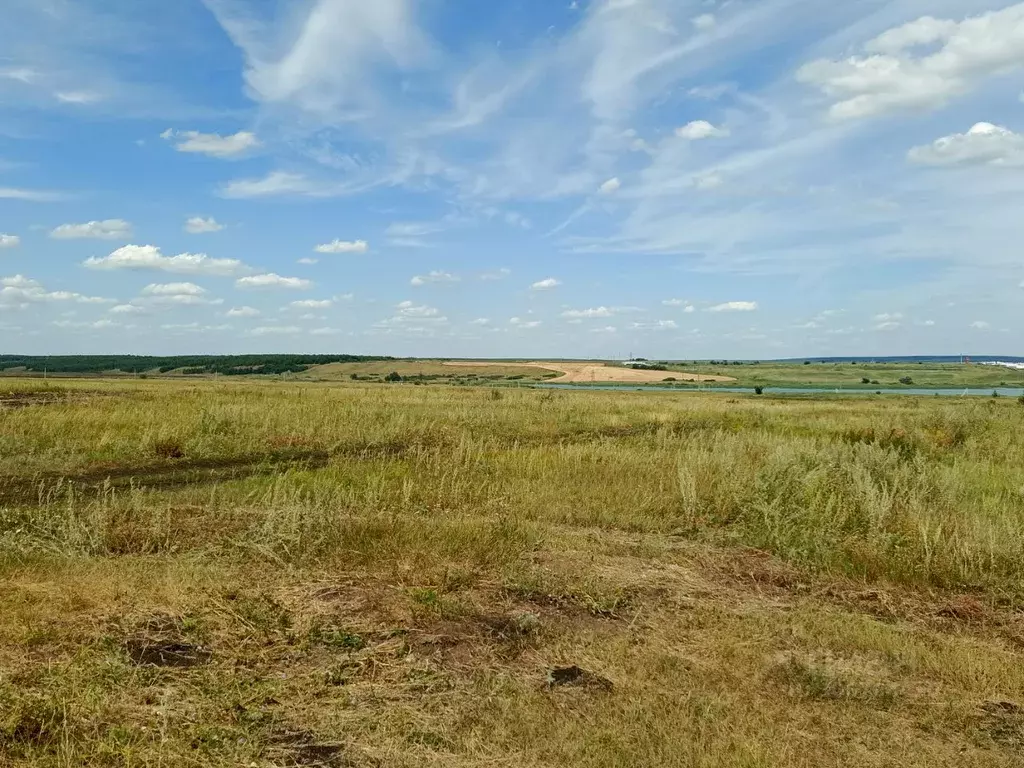 Участок в Саратовская область, Татищево рп ул. Петровская (10.0 сот.) - Фото 0