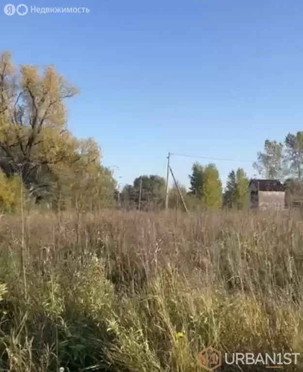 Участок в Берёзовский район, Есаульский сельсовет, ДНТ Сосновоборский ... - Фото 0