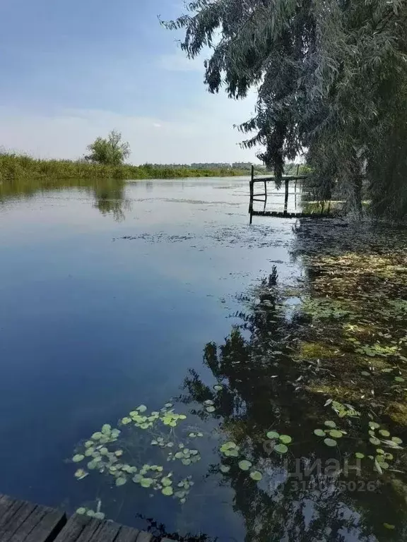 Дом в Самарская область, Самара ул. Красный Кряжок, 101 (90 м) - Фото 1