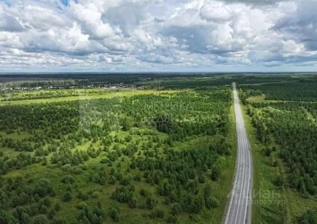 Участок в Тюменская область, Тюменский район, Новокаменский кп  (12.0 ... - Фото 0