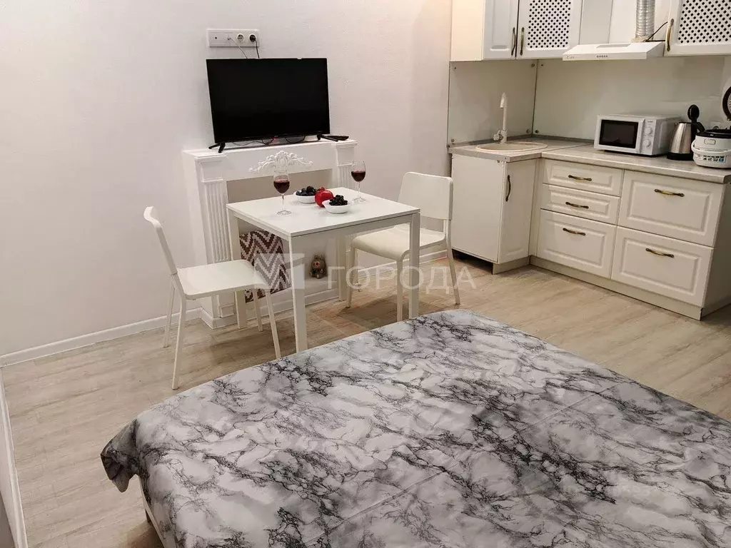 Студия Новосибирская область, Новосибирск Железнодорожная ул., 15 ... - Фото 1