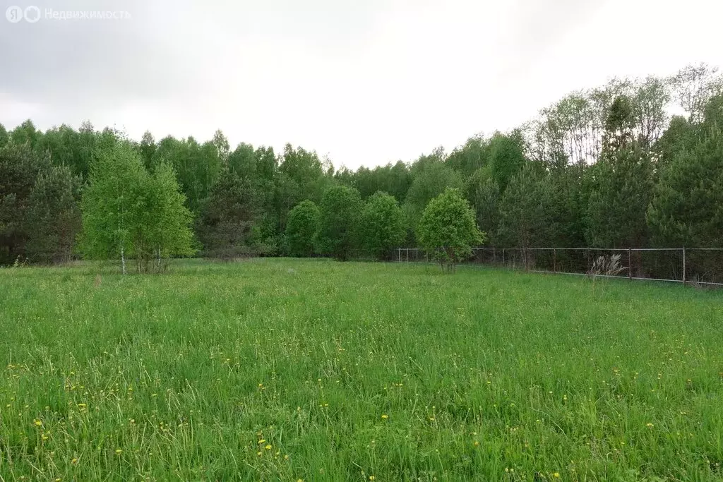 Участок в Ярославская область, Угличский муниципальный округ, деревня ... - Фото 1