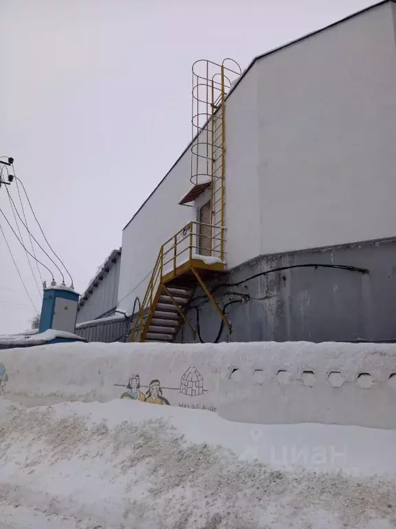 Производственное помещение в Пензенская область, Пенза Окружная ул., ... - Фото 1