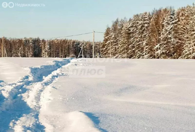 Участок в Сергиево-Посадский городской округ, территория ТСН ДП Лесная ... - Фото 2
