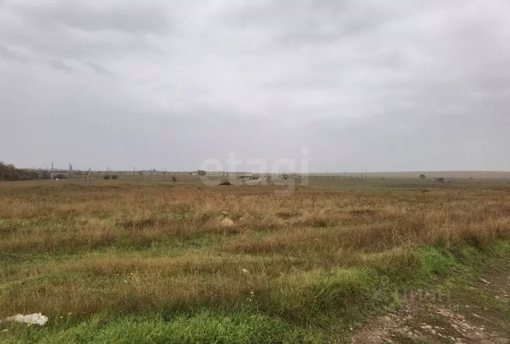 Участок в Крым, Черноморский район, Оленевское с/пос, с. Оленевка  ... - Фото 1