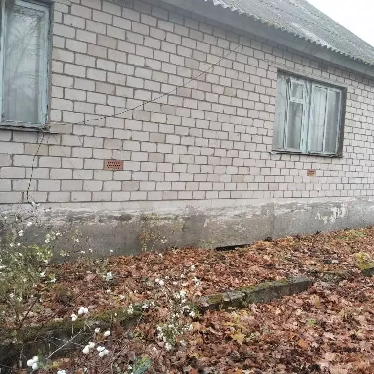 Помещение свободного назначения в Псковская область, Палкино рп ул. ... - Фото 1