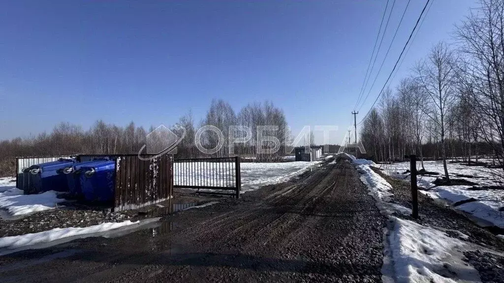 Участок в Тюменская область, Тюмень СОСН Березка-3 тер., ул. 15-я (5.0 ... - Фото 1