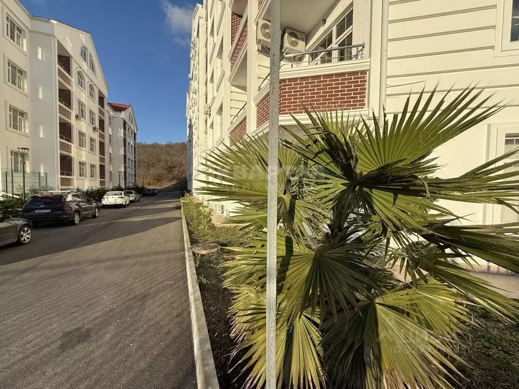 Студия Краснодарский край, Сочи ул. Ленина, 290/7 (20.0 м) - Фото 1