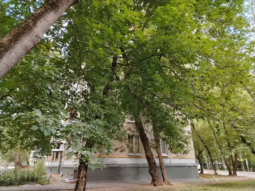 Свободной планировки кв. Москва Открытое ш., 2К10 (15.2 м) - Фото 1