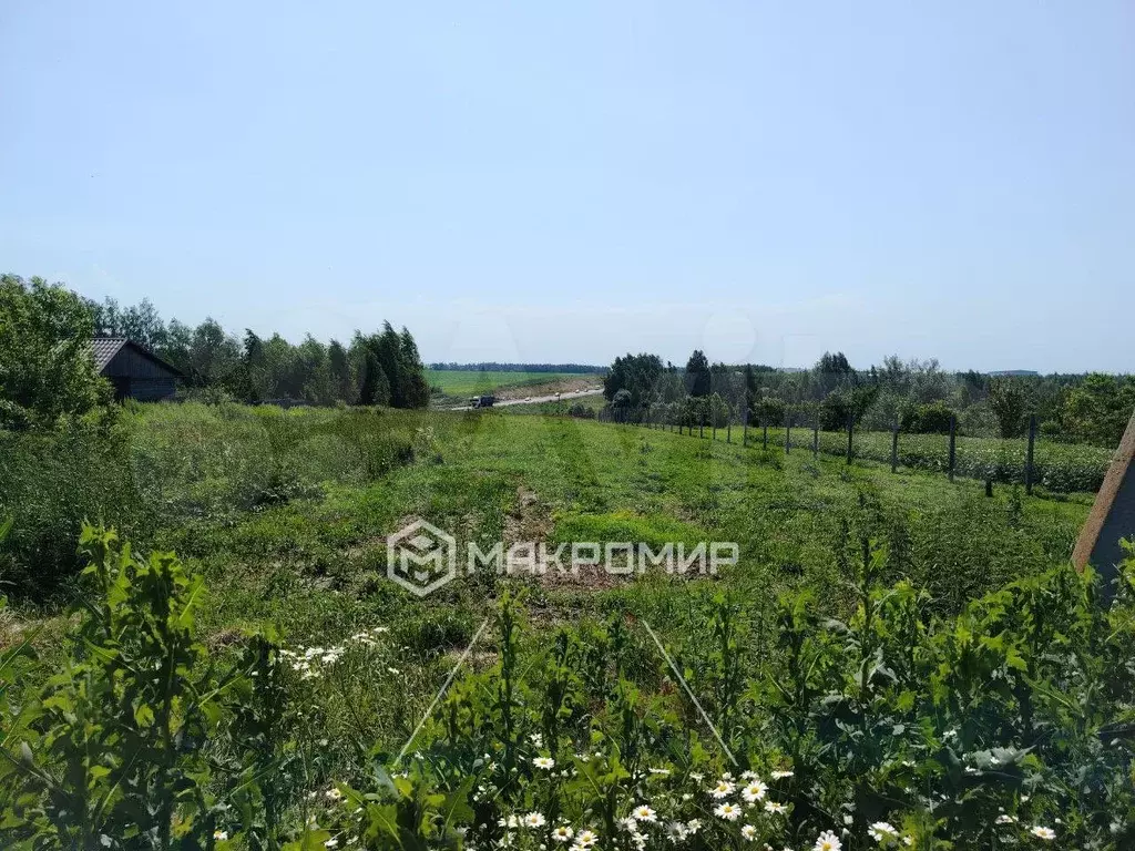 Участок 33,5 сот. (личное подсобное хозяйство (лпх)) - Фото 0